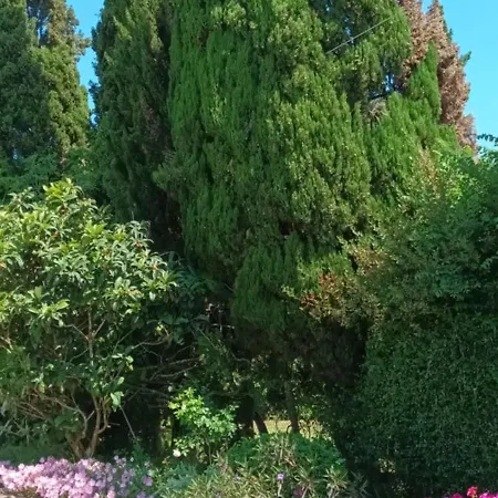 Apart Otel Dimitra G 3*