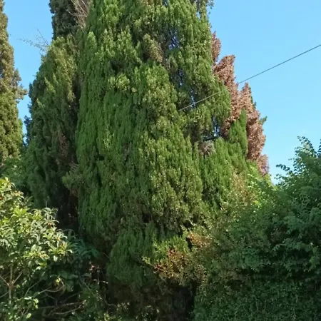 Apart Otel Dimitra G 3*