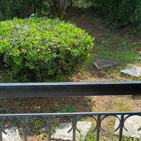 Aparthotel Dimitra G 3*