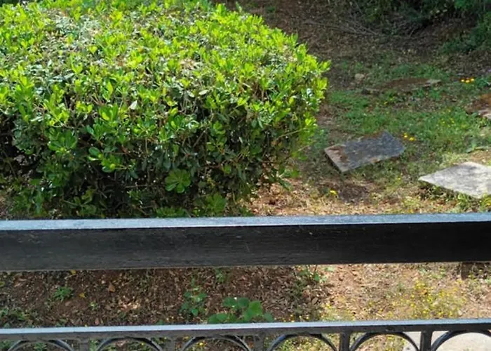 Lejlighedshotel Dimitra G 3*