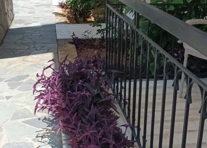 Dimitra G Γουβιά